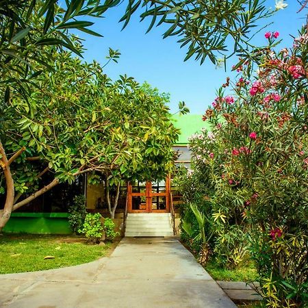Hotel Del Valle Azapa Arica Ngoại thất bức ảnh