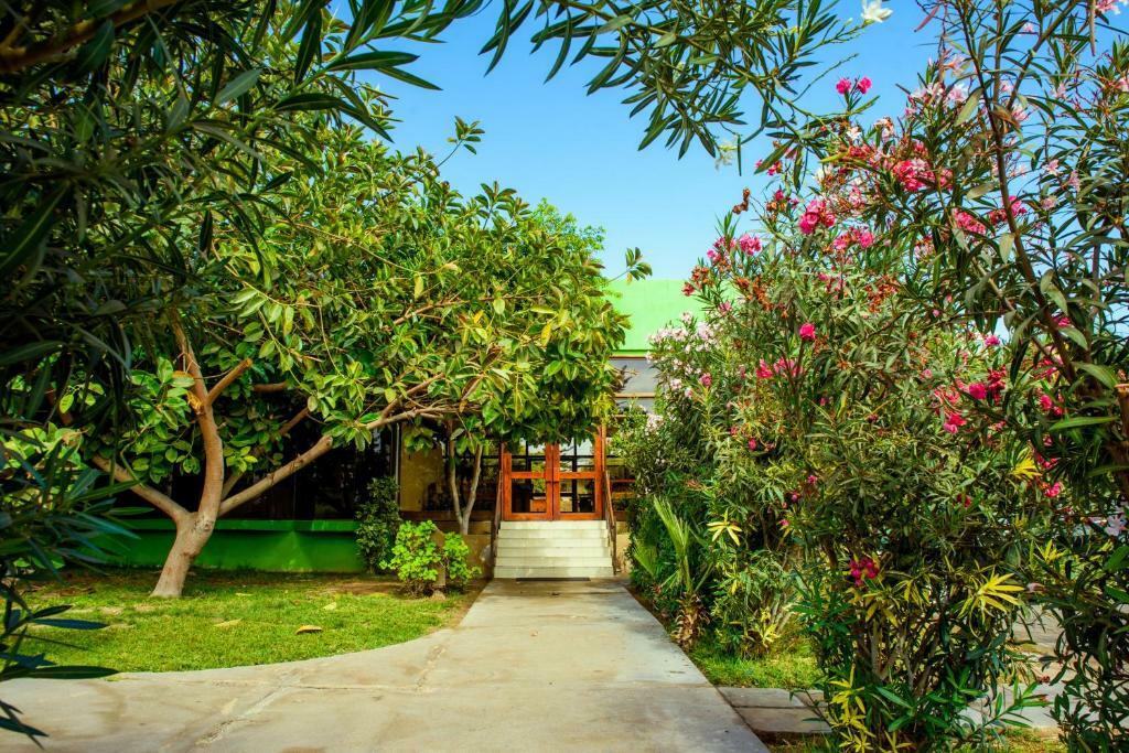 Hotel Del Valle Azapa Arica Ngoại thất bức ảnh